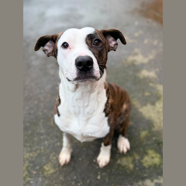 Photo of Annie