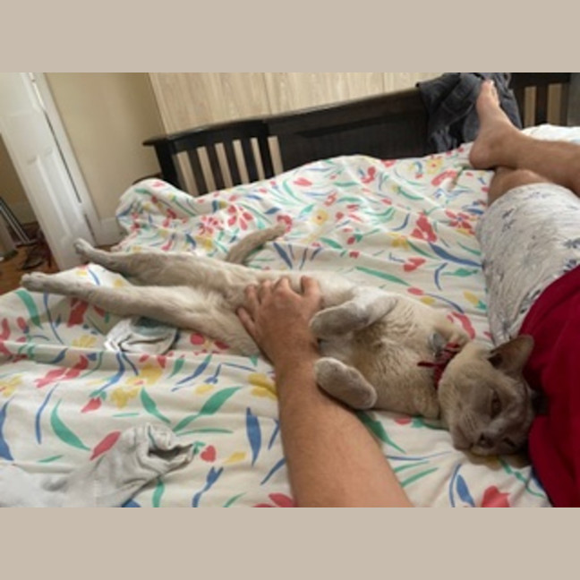 Photo of Mikki & Monty
