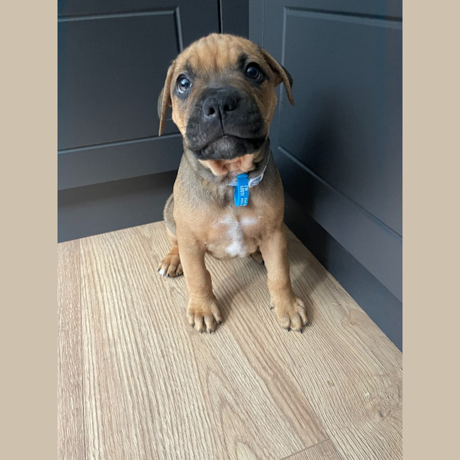 Photo of Polly