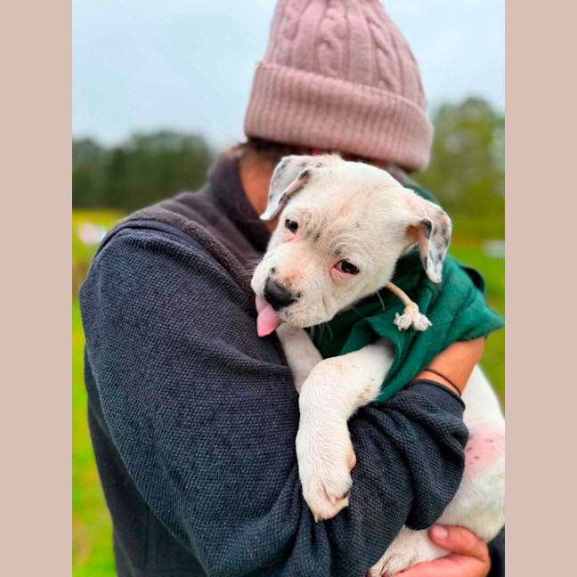 Photo of Tilly