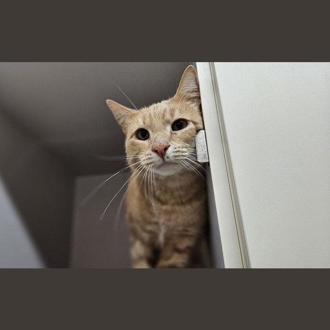 Photo of Bobby