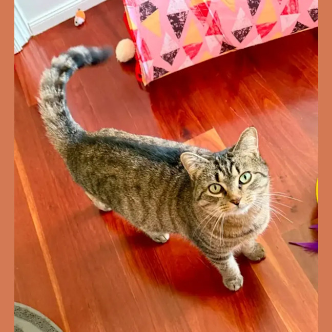 Photo of Matilda