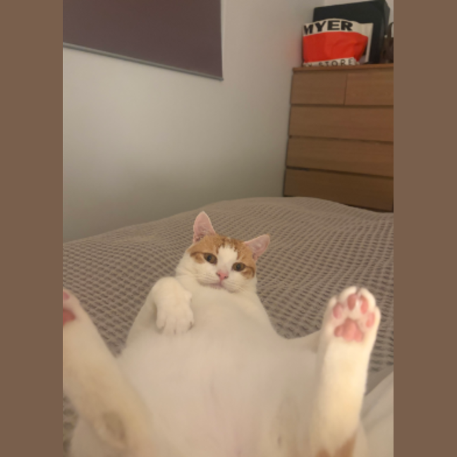 Photo of Clive