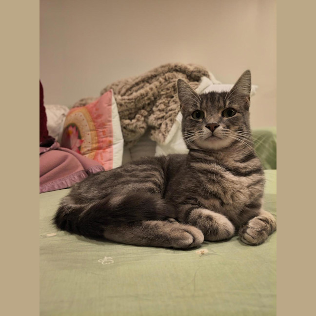 Photo of Lulu (Was Pinky)