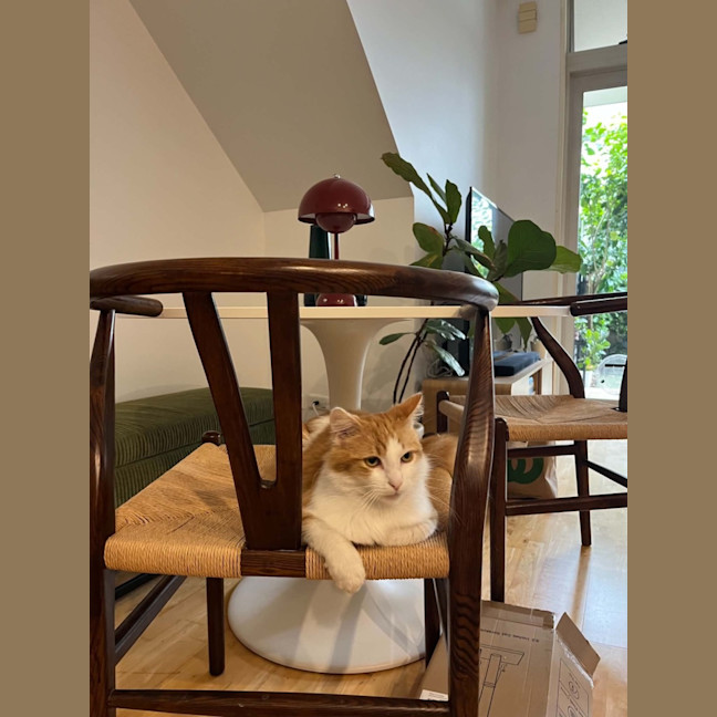 Photo of Bentley 