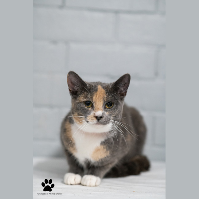 Photo of Chloe
