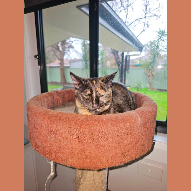 Photo of Gemma