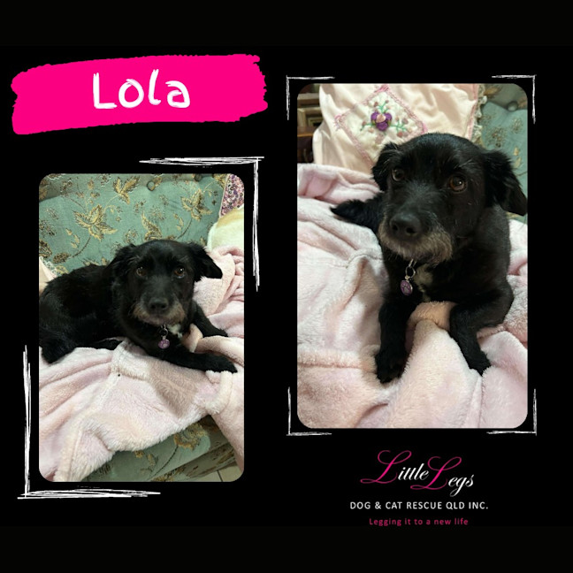 Photo of Lola