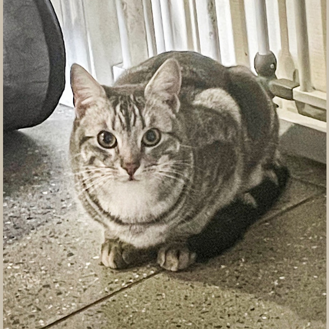 Photo of Cloud
