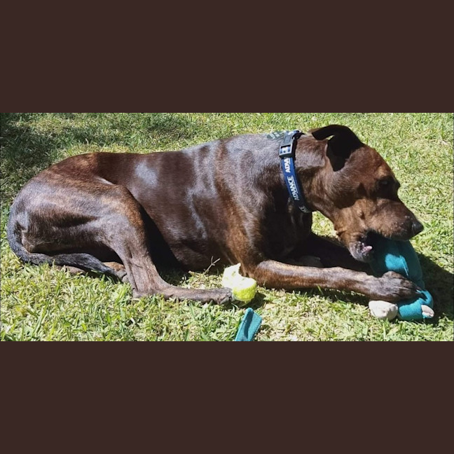 Photo of Jessica Rabbit