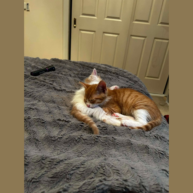Photo of Wilbur