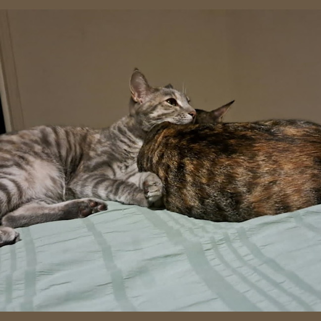 Photo of Maggie And Polly
