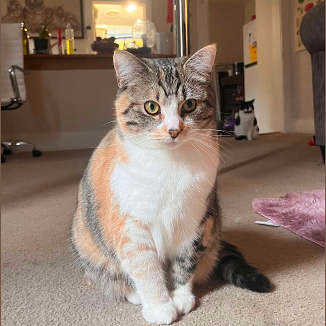 Photo of Elsie & Bee 🩷