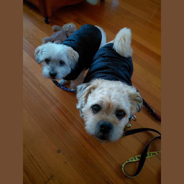 Photo of Charlie And Snooka