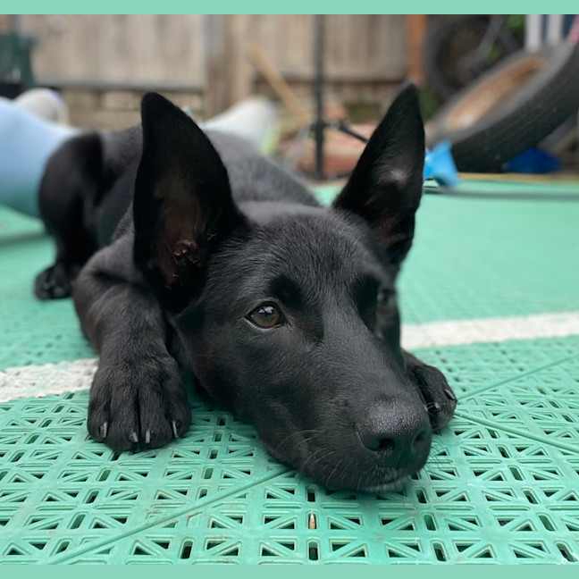 Photo of Billy