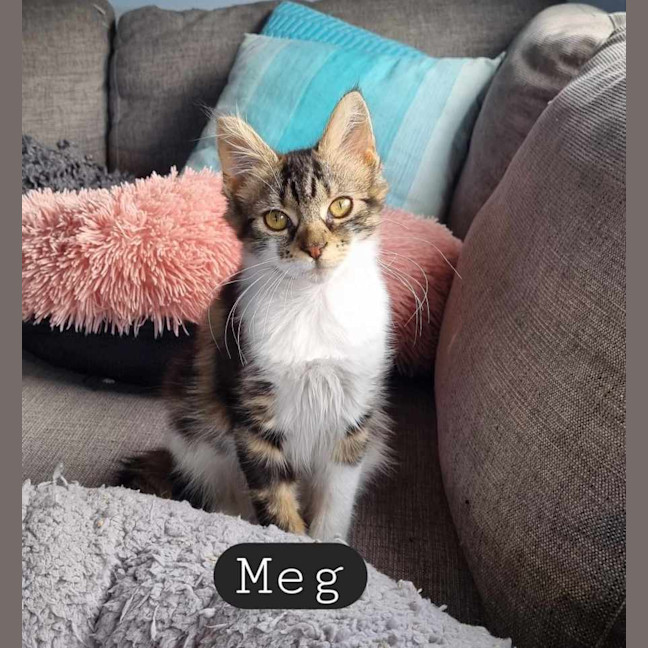 Photo of Meg