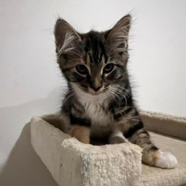 Photo of Buffy