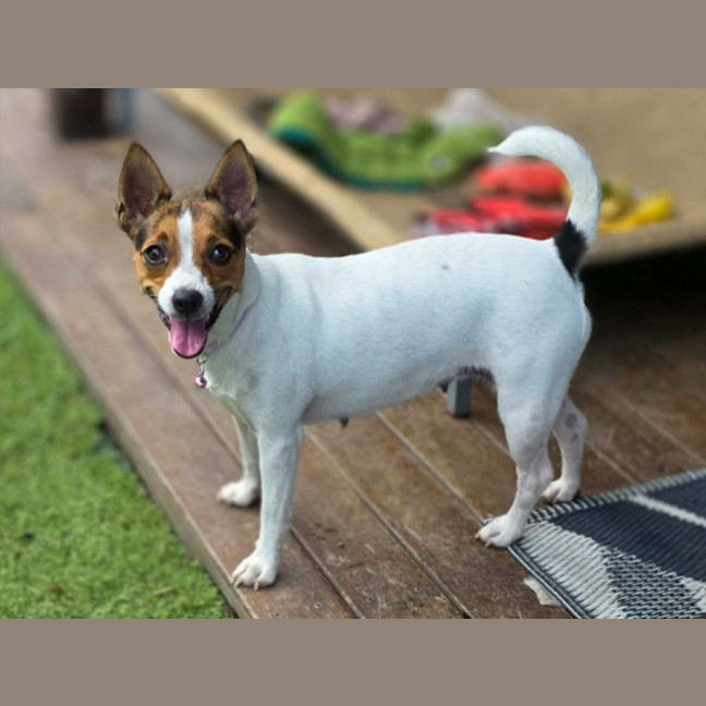 Photo of Tully And Rose