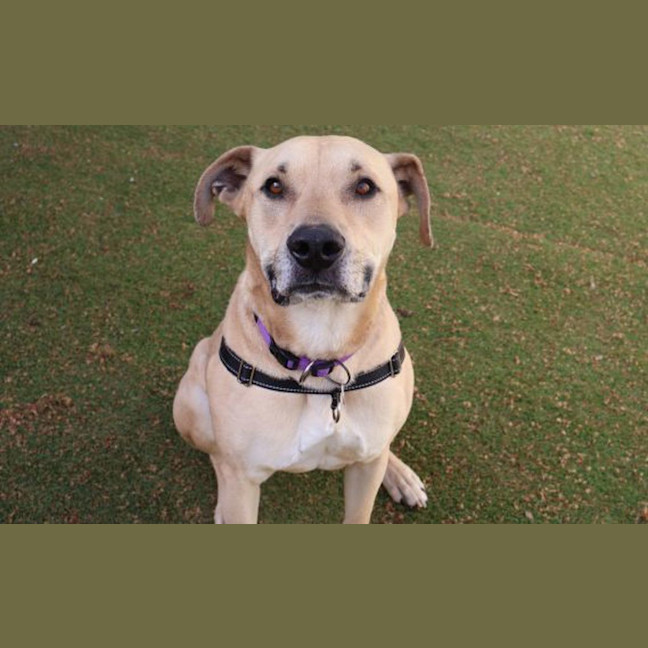 Photo of Buster