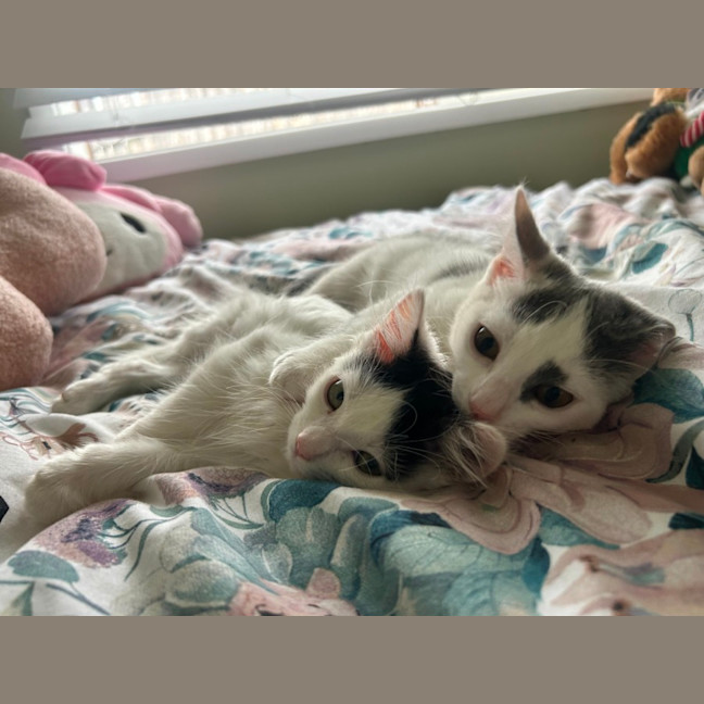 Photo of Rumi And Mira