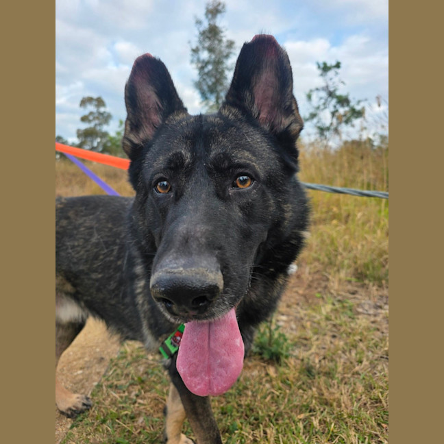 Photo of Atlas