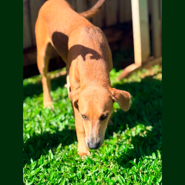 Photo of Archer