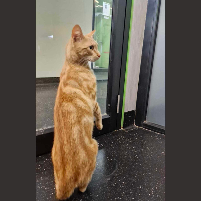 Photo of Burger Oyne