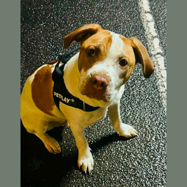 Photo of Ernie