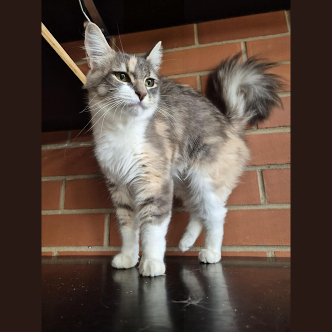 Photo of Spring! 🌷