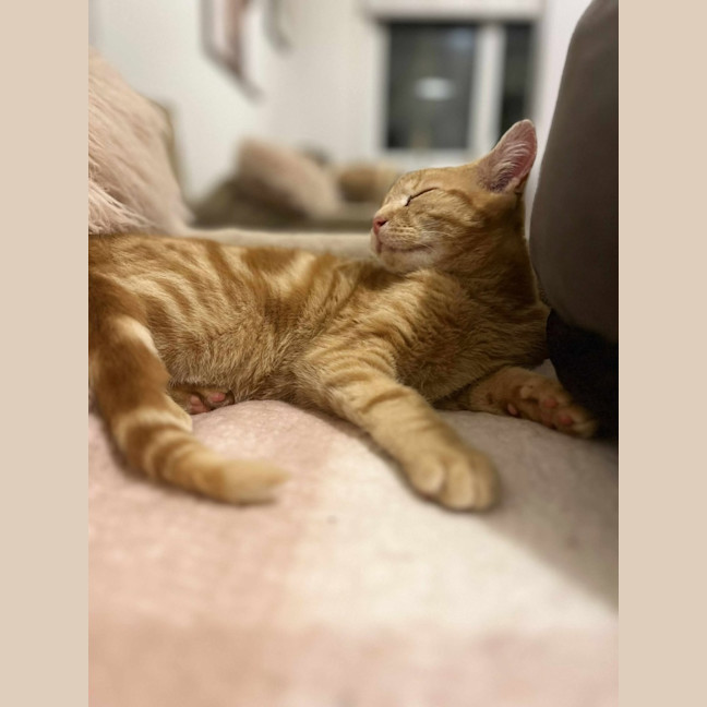 Photo of Gigi   Located In Frankston