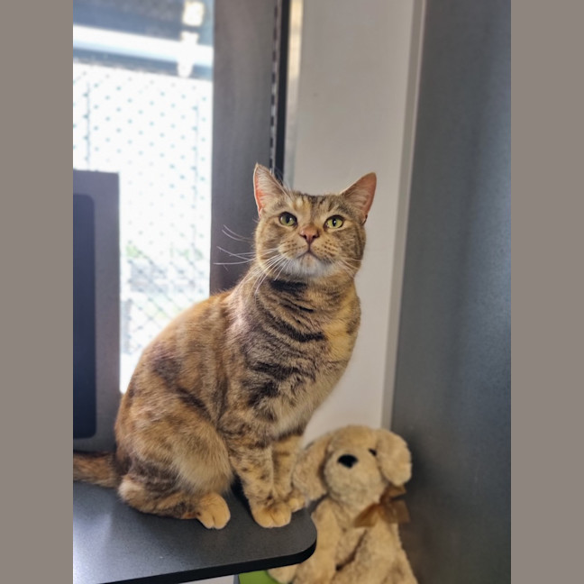 Photo of Eloise