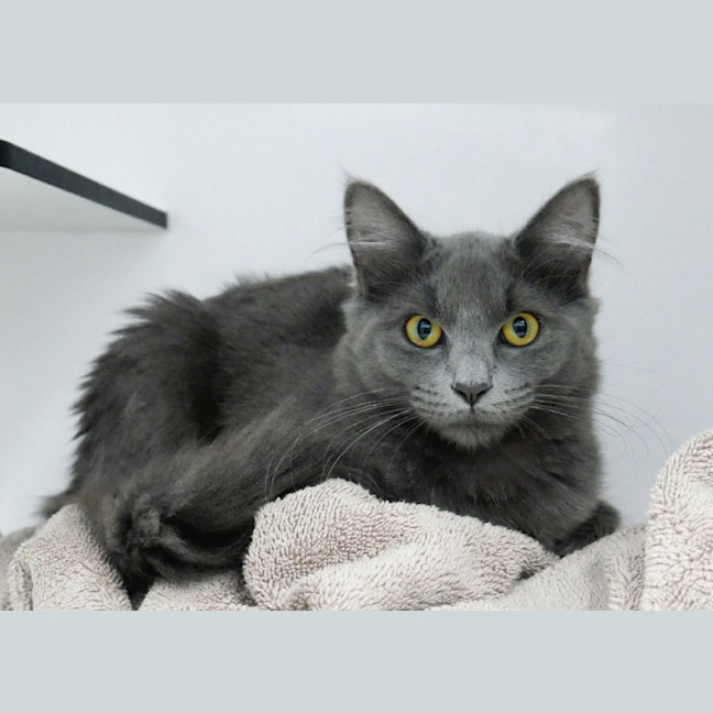 Photo of Emma Stk013179 & Freddie Stk013181