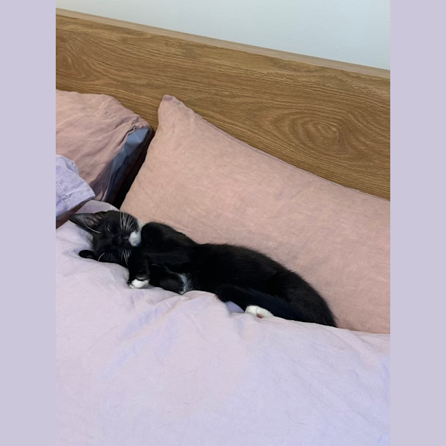 Photo of Apple Bottom Jeans