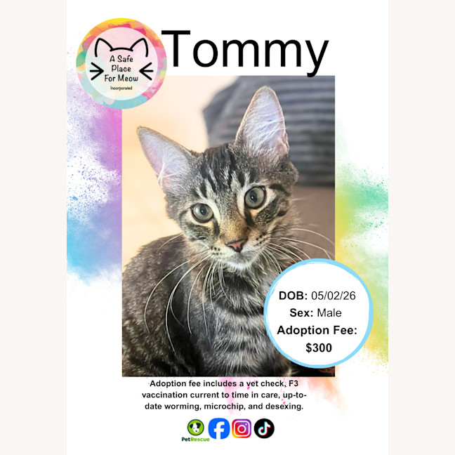 Photo of Tommy
