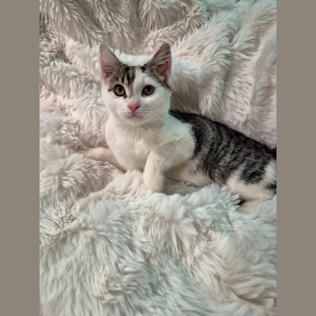 Photo of Kai