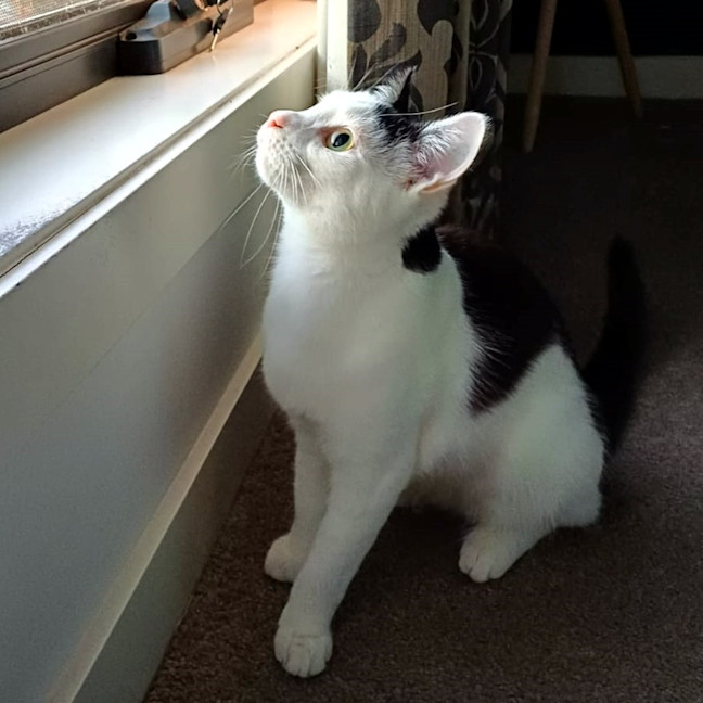 Photo of Raven Suk012656