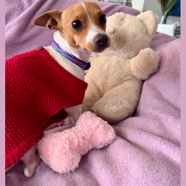 Photo of Pablo