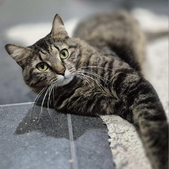 Photo of Tom