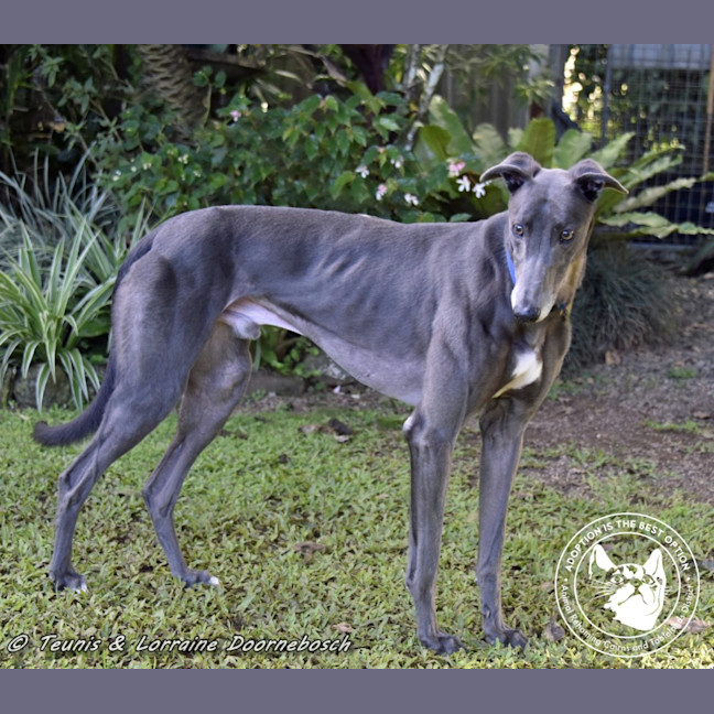 Photo of Froggy (Poppy Ed)