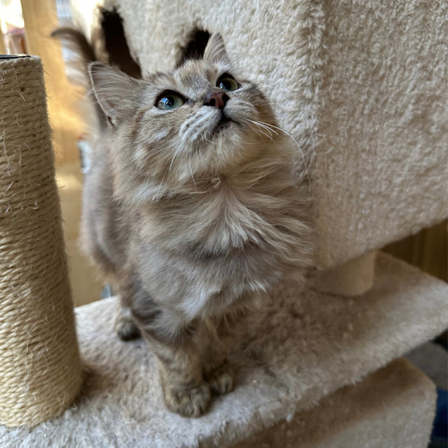 Photo of Sugar
