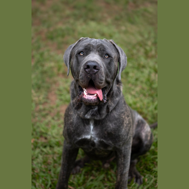 Photo of Zeus
