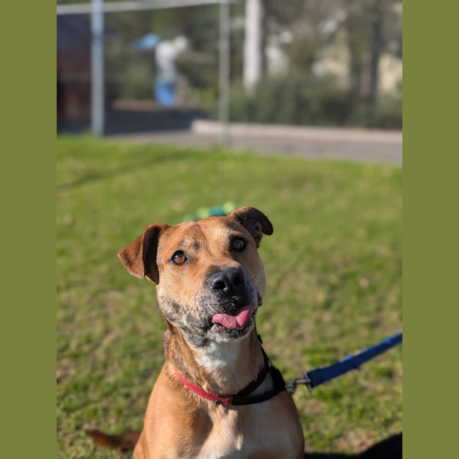 Photo of Ripley
