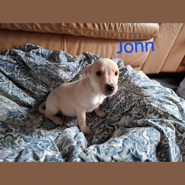 Photo of John 
