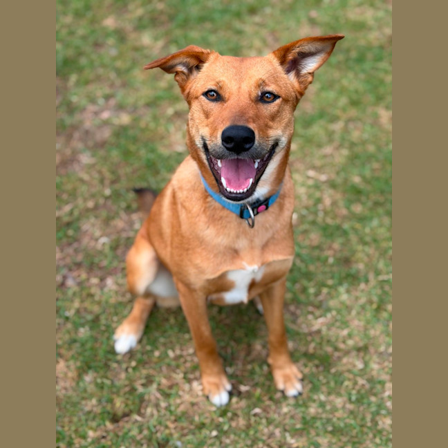 Photo of Thelma