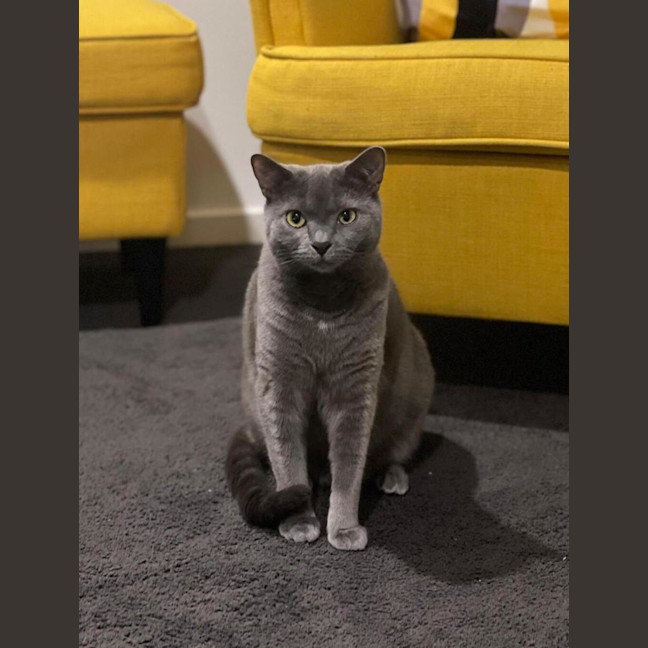 Photo of Martha