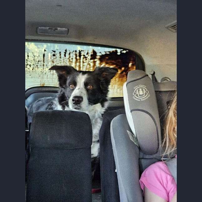 Photo of Millie
