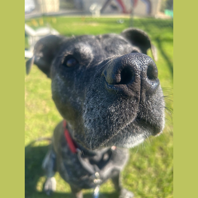Photo of Leila