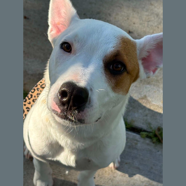 Photo of Molly