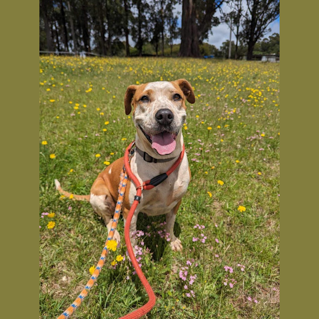Photo of Milly