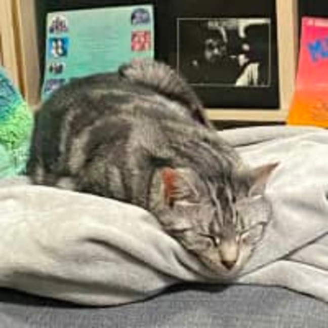 Photo of Sweet, Gentle Hope ♡